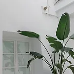 El 2 De Flamenco Bajob Daire Cadiz
