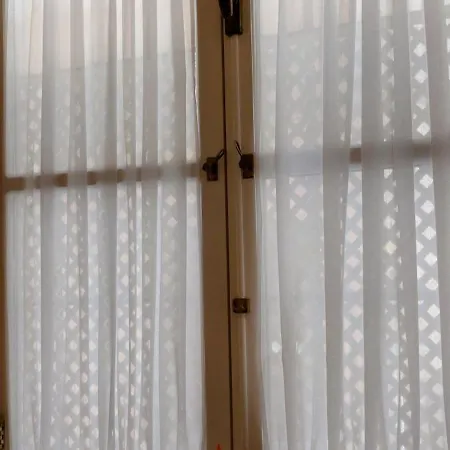 El 2 De Flamenco Bajob *