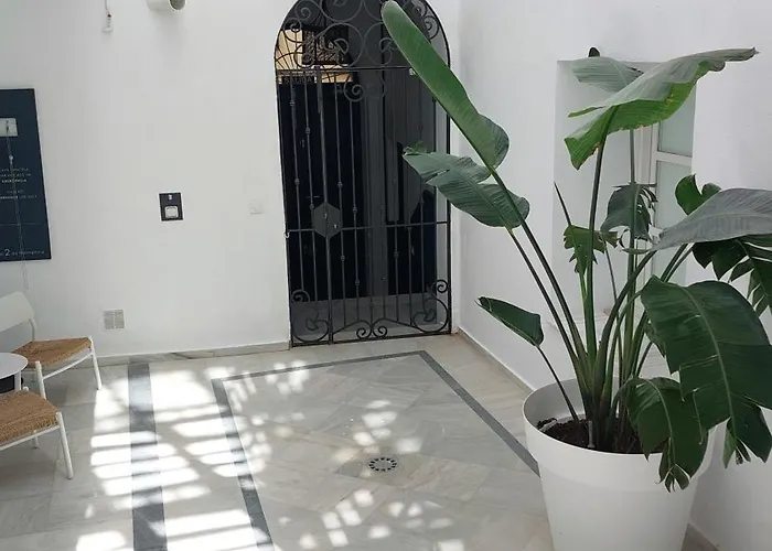 El 2 De Flamenco Bajob Cádiz