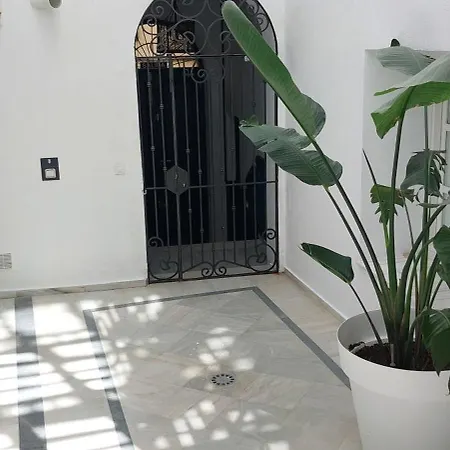 El 2 De Flamenco Bajob Cadix