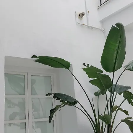 El 2 De Flamenco Bajob Appartement Cadix