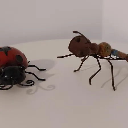 Apartment El 2 De Flamenco Bajob *