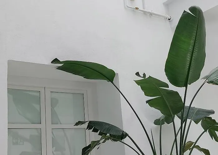 El 2 De Flamenco Bajob Appartamento Cadice