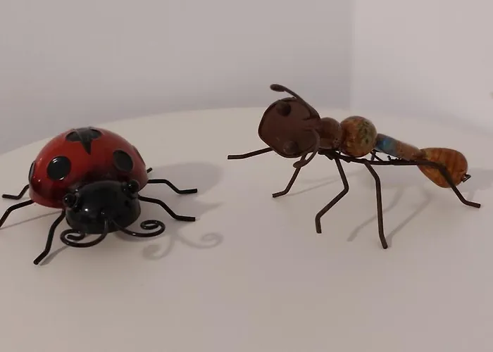 アパート El 2 De Flamenco Bajob *